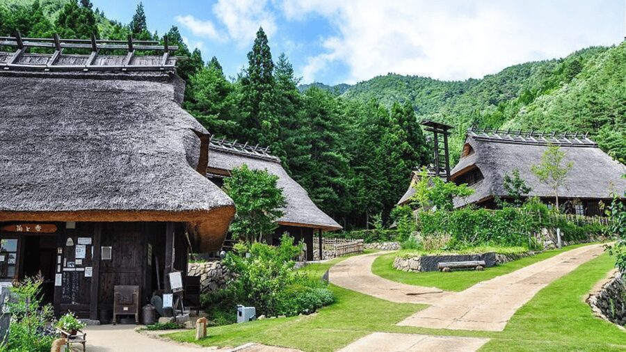 Mt Fuji Sightseeing Private tour with English Speaking Guide - Hakone’s Owakudani Steam and Lake Ashi Cruise
