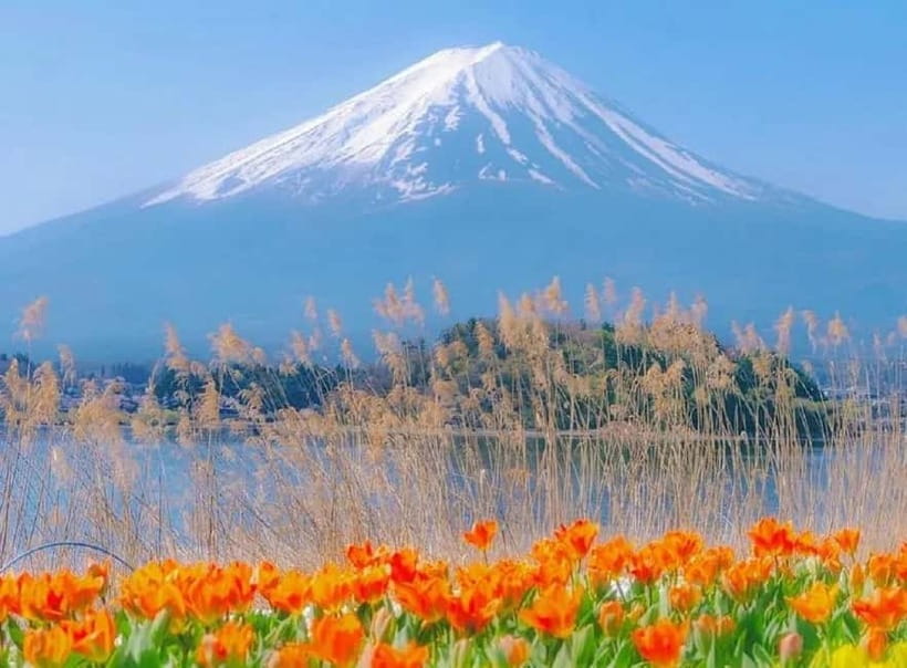 Mt Fuji Top 5 Spots Day Tour: Arakurayama Park,Oshino Hakkai - A One-Day Mount Fuji Itinerary That Fits Real Life