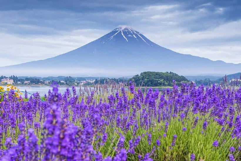 Mt Fuji Top 5 Spots Day Tour: Arakurayama Park,Oshino Hakkai - Tokyo Pickup and the Drive Into Fuji Country