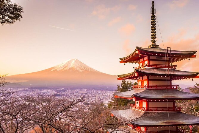 Mt. Fuji Tours with Kawaguchi Lake Ropeway View English Speaking - Tokyo to Mt. Fuji, without the logistics headache
