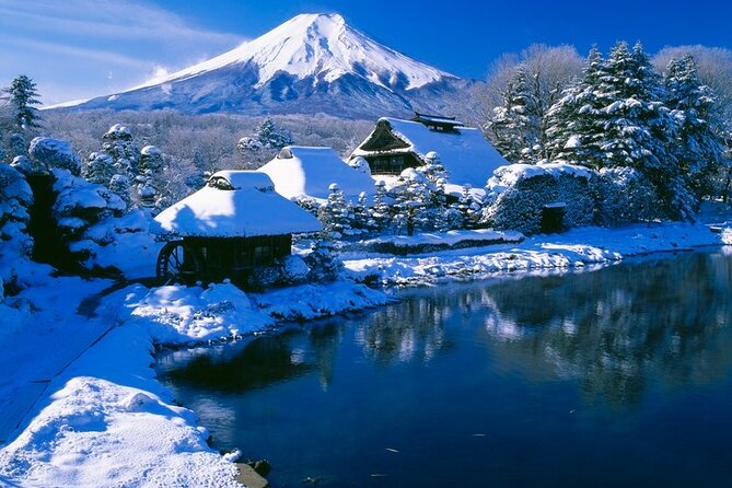 Mt. Fuji Tours with Kawaguchi Lake Ropeway View English Speaking - Pacing, touristy stops, and when it feels rushed