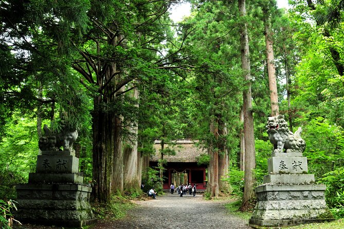Nagano All Must-Sees 4hr Private Tour with Licensed Guide - Licensed Guide Interpreter: What You Gain From Having a Real Human Explain Things