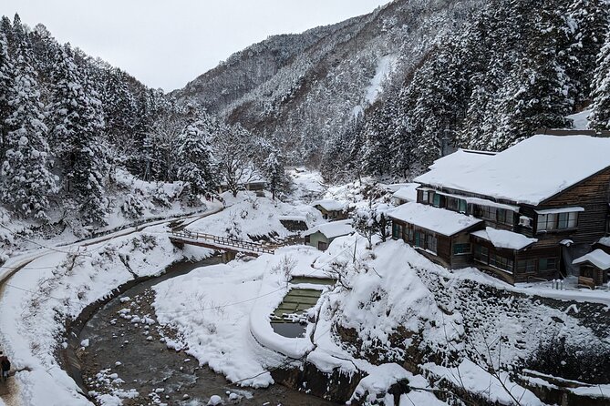 Nagano Snow Monkey 1 Day Tour with Beef Sukiyaki Lunch from Tokyo - Bus Ride Comfort and Small-Group Energy