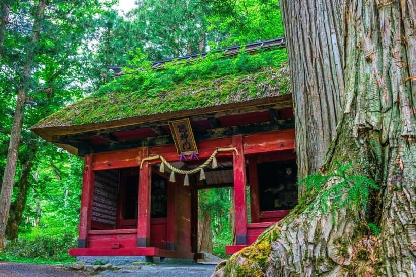 Nagano: Snow Monkeys & Togakushi Shrine Two-Spot in-One Day - Photos after the tour, and why that is worth planning for