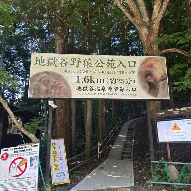 Nagano/Tokyo: Snow Monkey Private Day Tour At Lowest Rate - Key highlights to focus on