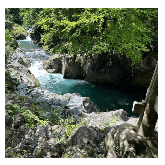 Nagano/Tokyo: Snow Monkey Private Day Tour At Lowest Rate - Price and value: what $399 per group really buys you