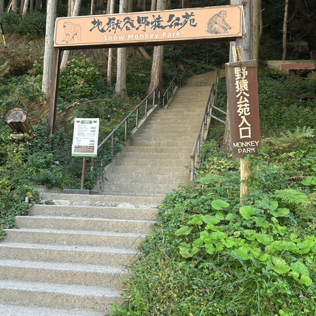 Nagano/Tokyo: Snow Monkey Private Day Tour At Lowest Rate - Tokyo to Nagano by private Vellfire, and why that matters
