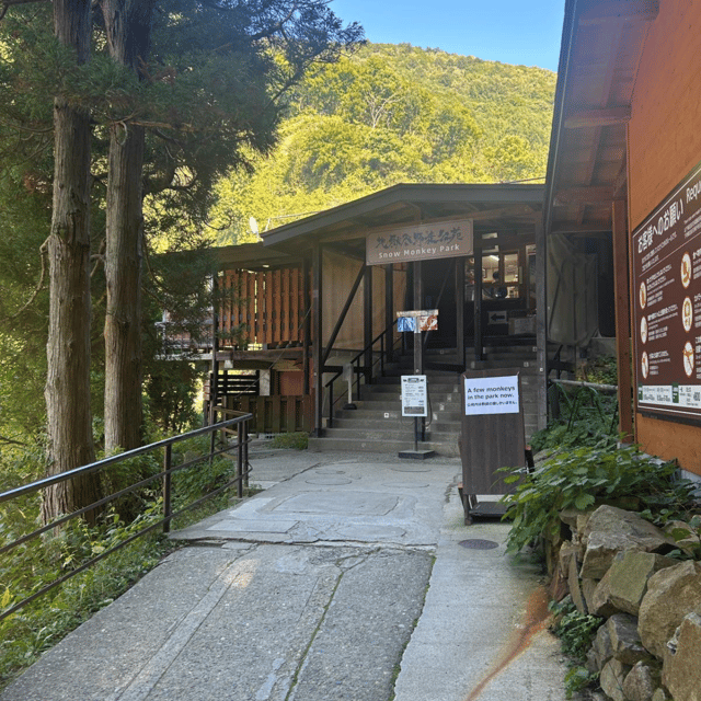 Nagano/Tokyo: Snow Monkey Private Day Tour At Lowest Rate - Jigokudani Snow Monkey Park in winter: the walk, timing, and monkey odds