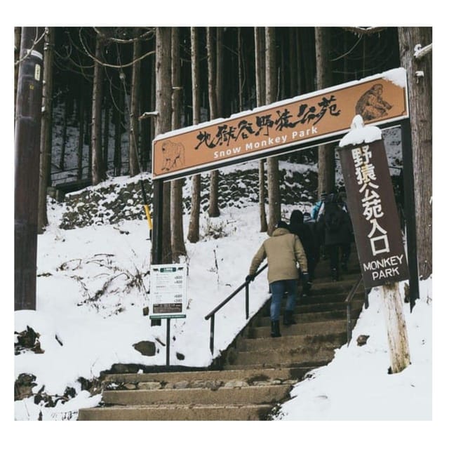 Nagano Tokyo: Snow Monkey Private Day Tour Hotel Pick & Drop - Zenko-ji Temple and the Key to Paradise stop