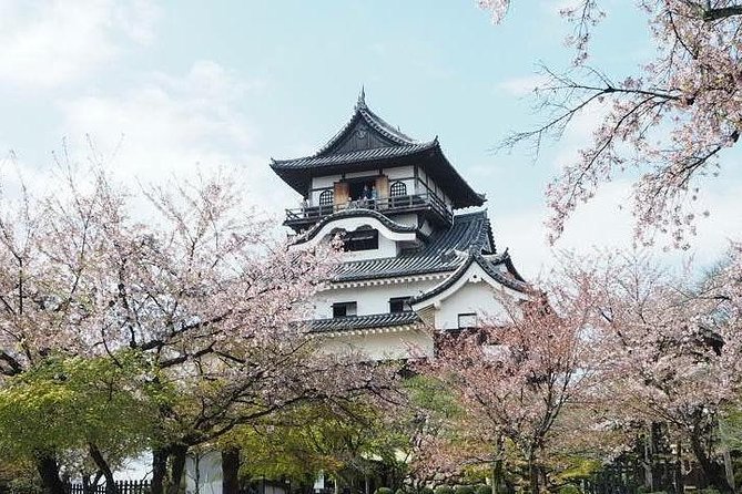 Nagoya Half-day Private Custom Tour with National Licensed Guide - Atsuta Jingu: the shrine stop that balances the whole day