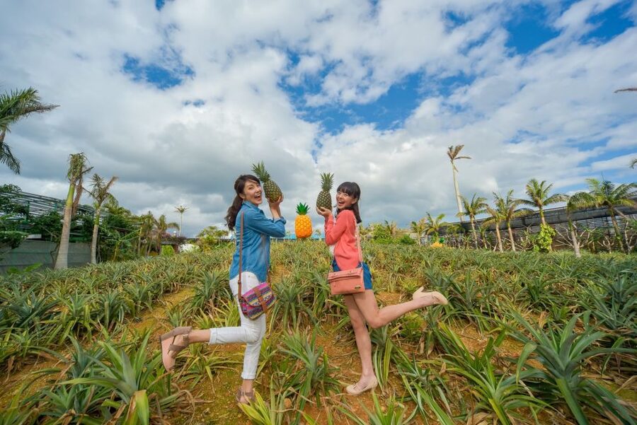 Naha: North Okinawa Sightseeing Tour & Churaumi Aquarium - Getting Picked Up and Settling Into the Jumbo Tours Ride