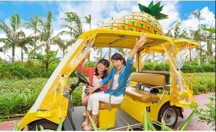 Naha: North Okinawa Sightseeing Tour & Churaumi Aquarium - Practical Tips That Make the Day Smoother