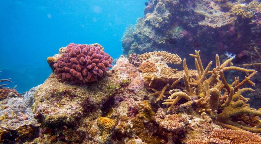 Naha, Okinawa: Kerama Islands Full-Day Intro-Diving Trip - The boat experience in Kerama waters: comfort you’ll be glad you have