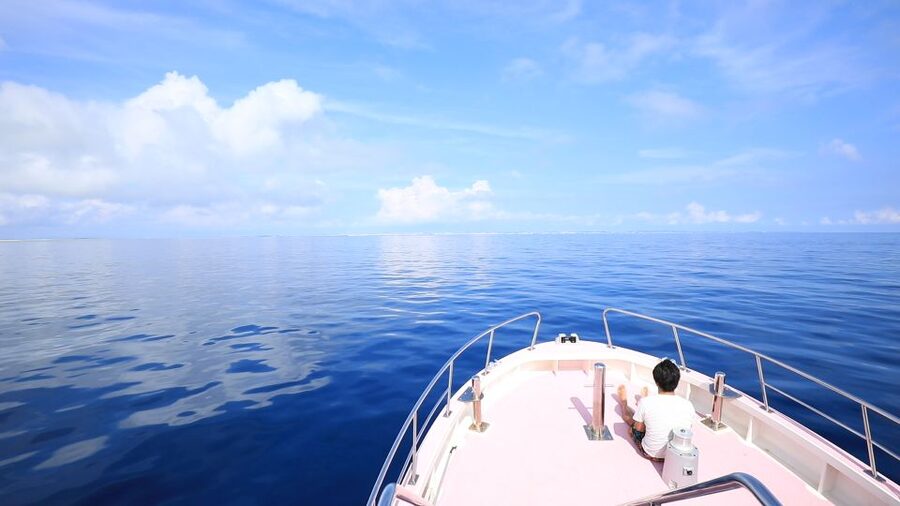 Naha, Okinawa: Kerama Islands Half-Day Whale Watching Tour - Why Naha waters draw humpbacks in Okinawa