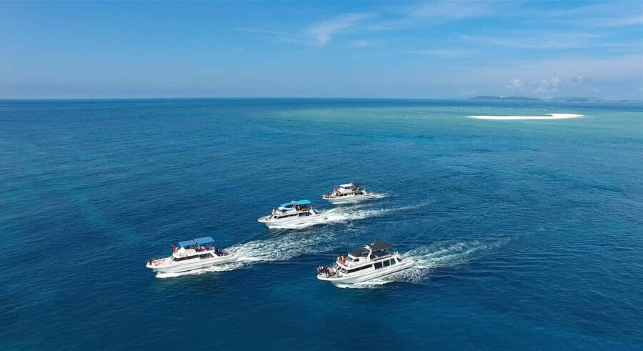 Naha, Okinawa: Kerama Islands Half-Day Whale Watching Tour - The value question: is $37 worth a half-day gamble