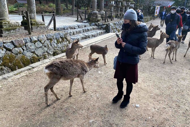 Nara 6hr Private Tour with Government-Licensed Guide - Wakakusayama Hill: views that make your walking feel worth it