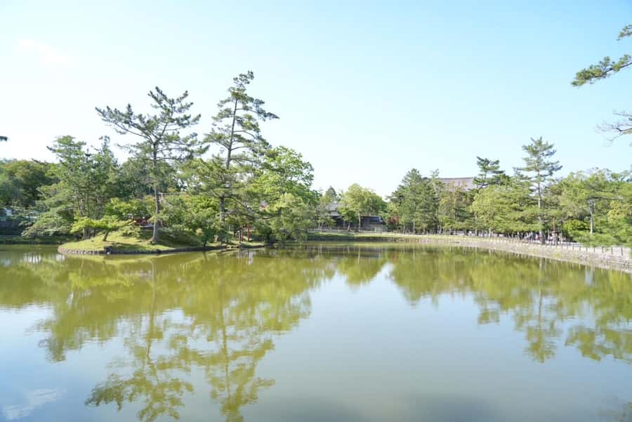Nara Early Bird Tour (Kyoto Departure Option Available) - A short morning, not a long day: what that means for pacing