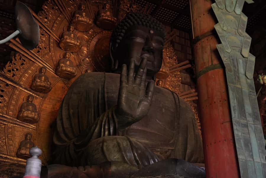 Nara Early Bird Tour (Kyoto Departure Option Available) - Fushimi-Inari for a quiet pause, then back into sightseeing mode