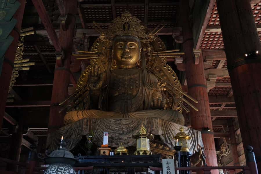 Nara Early Bird Tour (Kyoto Departure Option Available) - What you’re really buying for $88: time saved, not just tickets