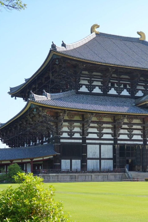 Nara Early Bird Tour (Kyoto Departure Option Available) - The guide factor: why names like Genki and Futaba keep coming up
