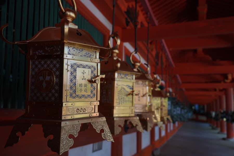 Nara Early Bird Tour (Kyoto Departure Option Available) - Kyoto Station start: the logistics that protect your schedule