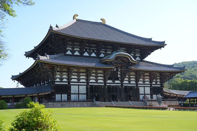Nara Early Morning Tour (Kyoto or Osaka Departure Available) - Small group, big difference: how the tour actually plays out