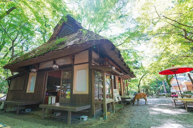 Nara Half Day Trip Walking Tour (Private Option Available) - Naramachi walk and Nigiwai no Ie: the town side of Nara