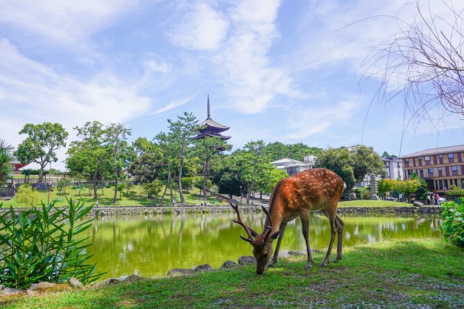 Nara Half Day Trip Walking Tour (Private Option Available) - Kofuku-ji pagoda to Todai-ji Great Buddha: the temple hits in one arc