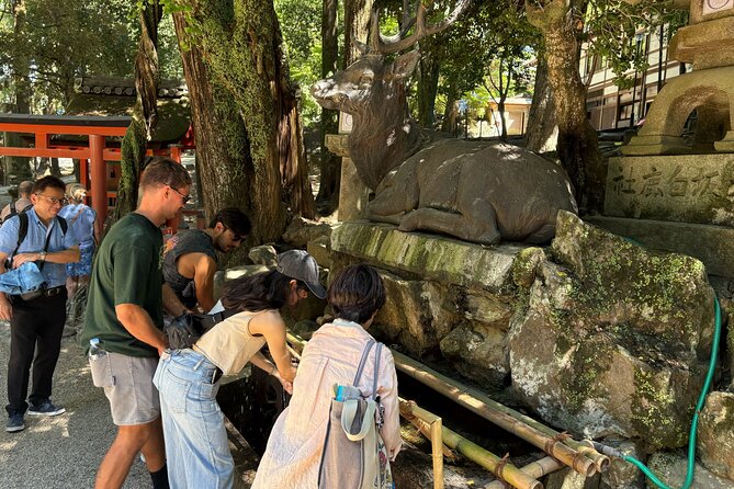 Nara Highlight Walking Tour with Furoshiki Experience with Lunch - Price and Value: Why $37 Feels Fair for What You Get