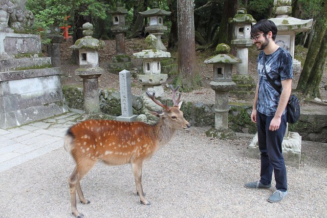 Nara - Highlights Bike Tour - Inside Todai-ji Temple: huge wood, huge presence