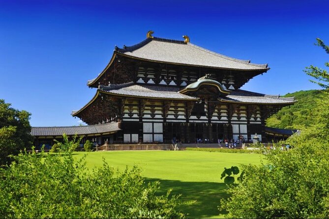 Nara, Todaiji Temple & Kuroshio Market Day BUS Tour from Osaka - Price and logistics, what $99.04 really covers