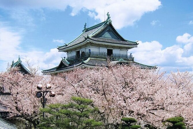 Nara, Todaiji Temple & Kuroshio Market Day BUS Tour from Osaka - Kuroshio Market and tuna country energy, seafood plus a demo
