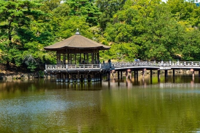 Nara World Heritage PRIVATE TOUR - Nara Park and deer feeding: do it with rules, not luck