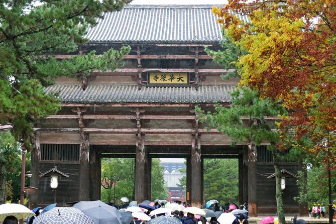 Nara World Heritage PRIVATE TOUR - Ukimido Pavilion at Sagiike: a small stop that pays off