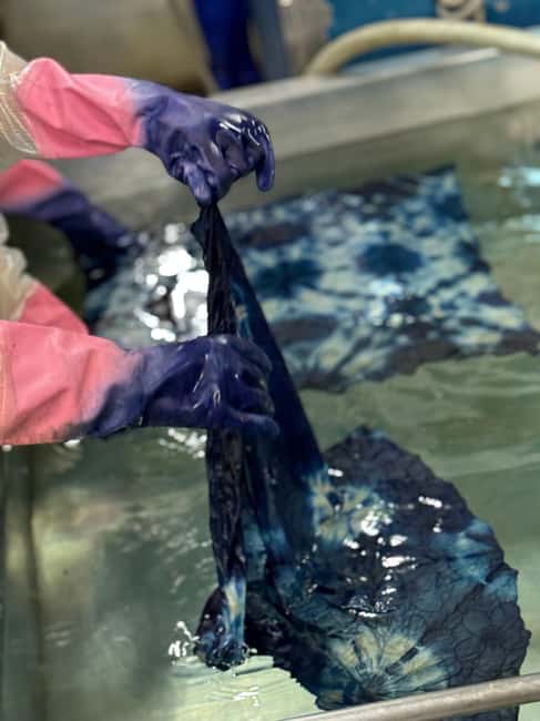 Natural Indigo Dyeing with Local Masters (Private Atelier) - Who this is for, and who might want a different Kyoto day
