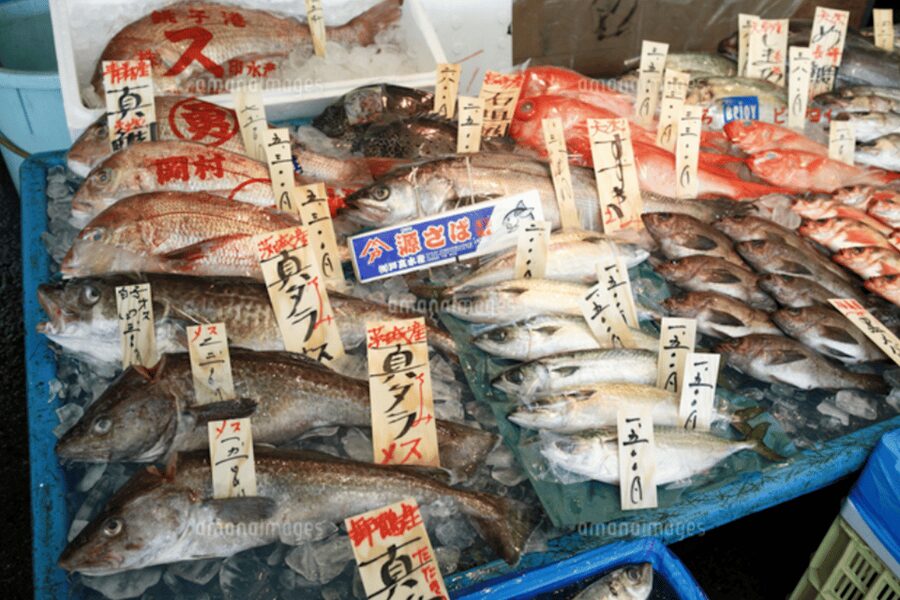 Niigata Private Custom Tour with Local Guide - Quick Highlights You’ll Feel in Real Time