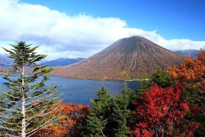 Nikko Full-Day Private Tour with Government-Licensed Guide - Waterfall-Plus Options: Kirifuri Waterfall and the Highlands