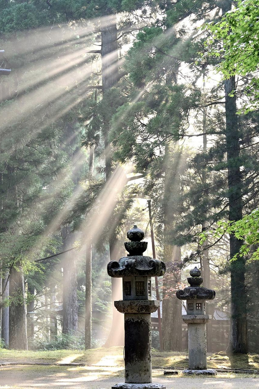 Nikko Heritage & Nature Day Trip from Tokyo - Lake Chuzenji, Fresh Air After the Falls