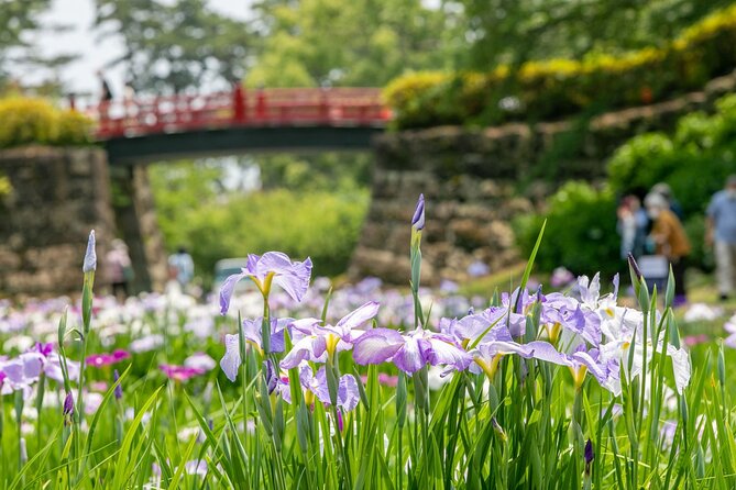 Odawara Castle and Town Guided Discovery Tour - Stop 3: Odawara Castle Park and what’s preserved