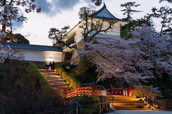 Odawara Castle and Town Guided Discovery Tour - Stop 4: Ninja-kan, learn what ninja work was really about (and what it wasn’t)