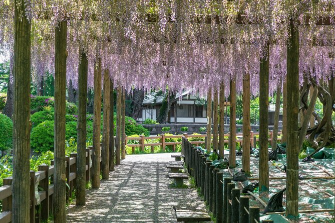 Odawara Castle and Town Guided Discovery Tour - Stop 6: Odawara Castle itself, then the museum route inside