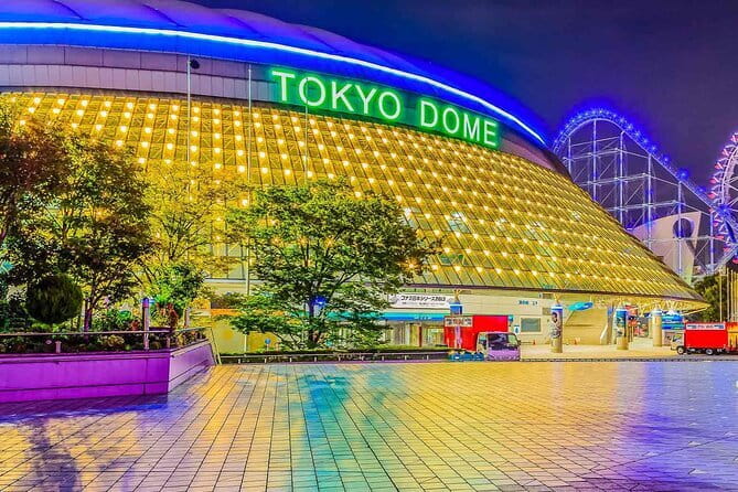 Official Japan Go-Kart Through Shibuya / Shinjuku (IDP Required) - Shibuya Scramble at stoplights, plus Yoyogi Park and the Meiji Jingu area