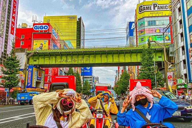 Official Street Go-Kart Tour - Akihabara - Akihabara Drive Through: Anime and Game Mecca at Street Level