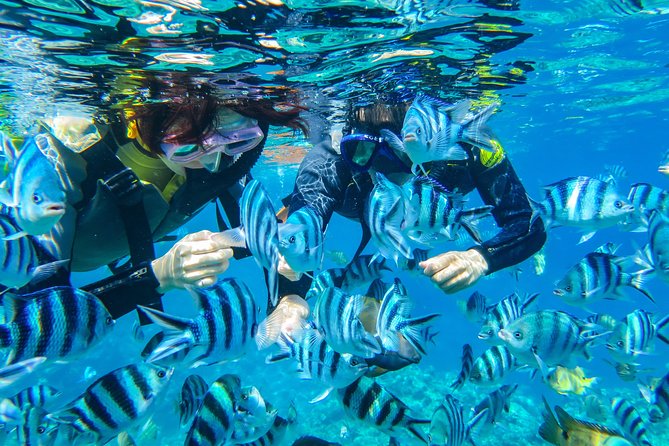[Okinawa Blue Cave] Snorkeling with Private Guide+ Free Photos - Why the Blue Cave Looks So Unreal (Even When You Are Just Watching)