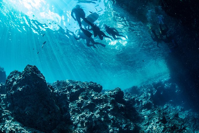[Okinawa Blue Cave] Snorkeling with Private Guide+ Free Photos - The Blue Cave Stop: Glow Light, Fish Feeding, and Photo Moments