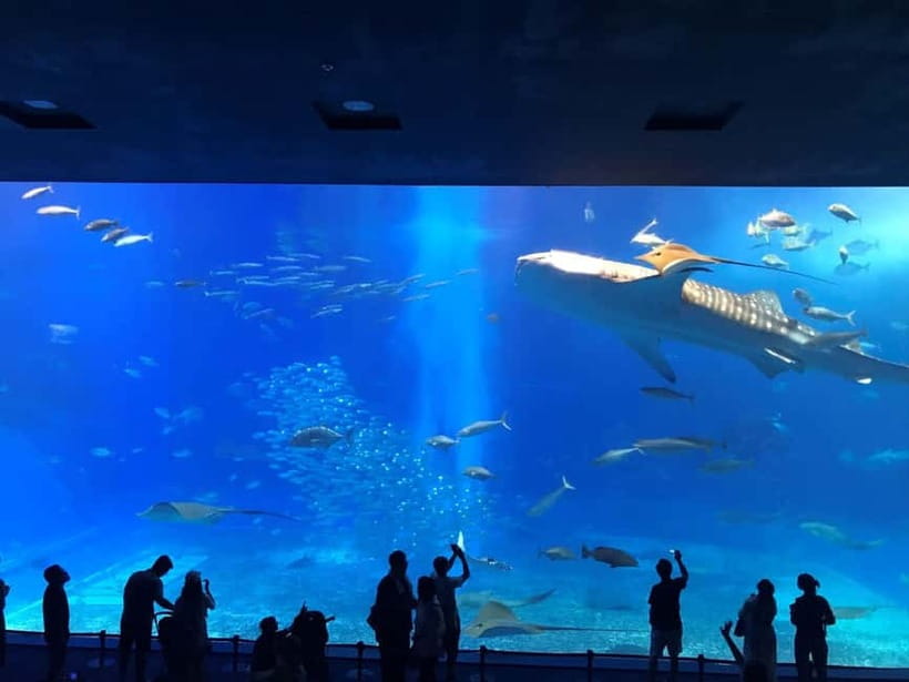 Okinawa: Churaumi Aquarium, Ryukyu Village & Manza Bus Tour - Manza Cape: elephant-shaped rock views plus a small extra fee