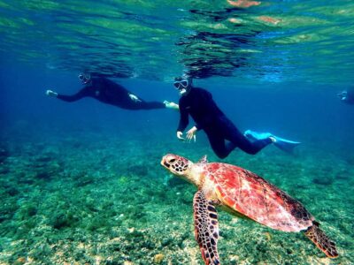 From Naha: Kerama Islands 1-day snorkeling tour