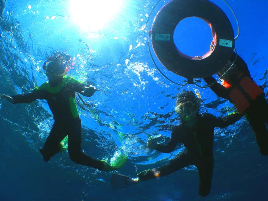 Okinawa: From Naha: Kerama Islands 1-day snorkeling tour - Snorkeling around Tokashiki, Zamami, and Aka: what you can realistically expect