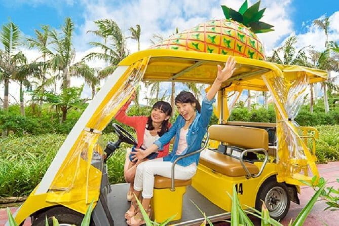 Okinawa HIP-HOP BUS A Course Tour | Churaumi Aqualium,Kori Island - Key highlights you’ll feel on the day