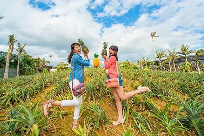 Okinawa HIP-HOP BUS A Course Tour | Churaumi Aqualium,Kori Island - A one-day circuit: from Naha to Churaumi, Kouri Bridge, and Cape Manzamo
